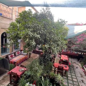 اقامتگاه بوم‌گردی ترنجستان فضای محوطه