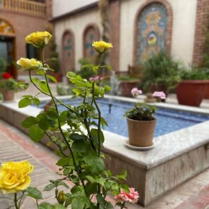 هتل تخت جمشید تهران فضای داخلی هتل 6