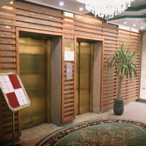 هتل خانه سبز مشهد لابی