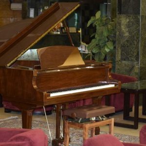 هتل پرسپولیس شیراز لابی