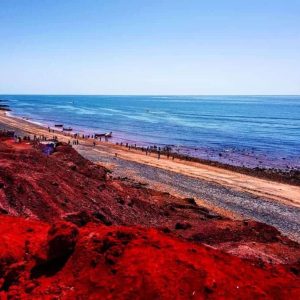 تور هرمز از قشم