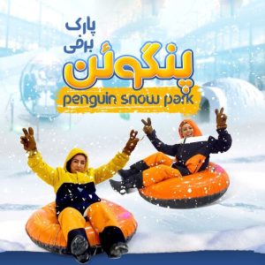 پارک-برفی-کیش-پنگوئن